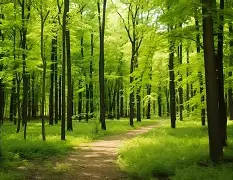 英雄资料-峰度控股骆国峰